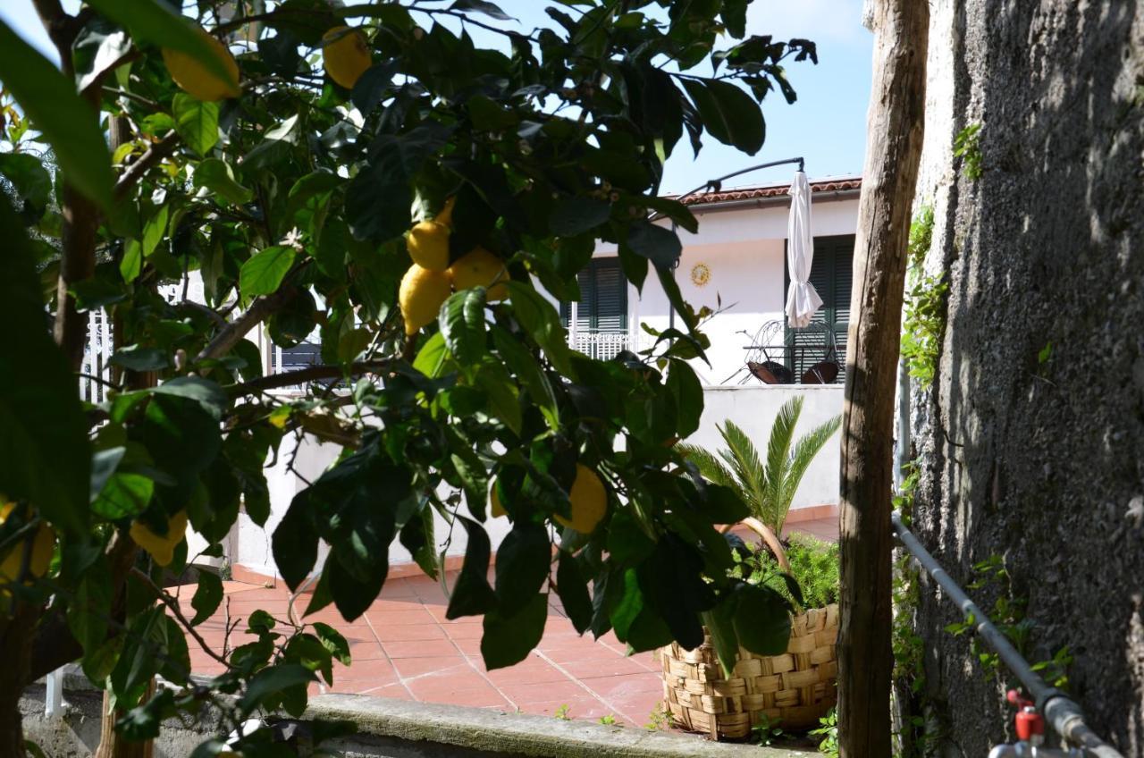 Villa Luciana 상트아그넬로 외부 사진